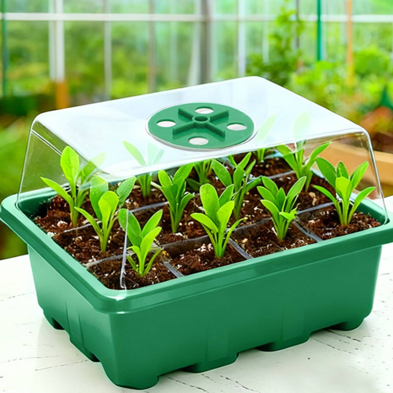Seed starter trays with clear humidity domes